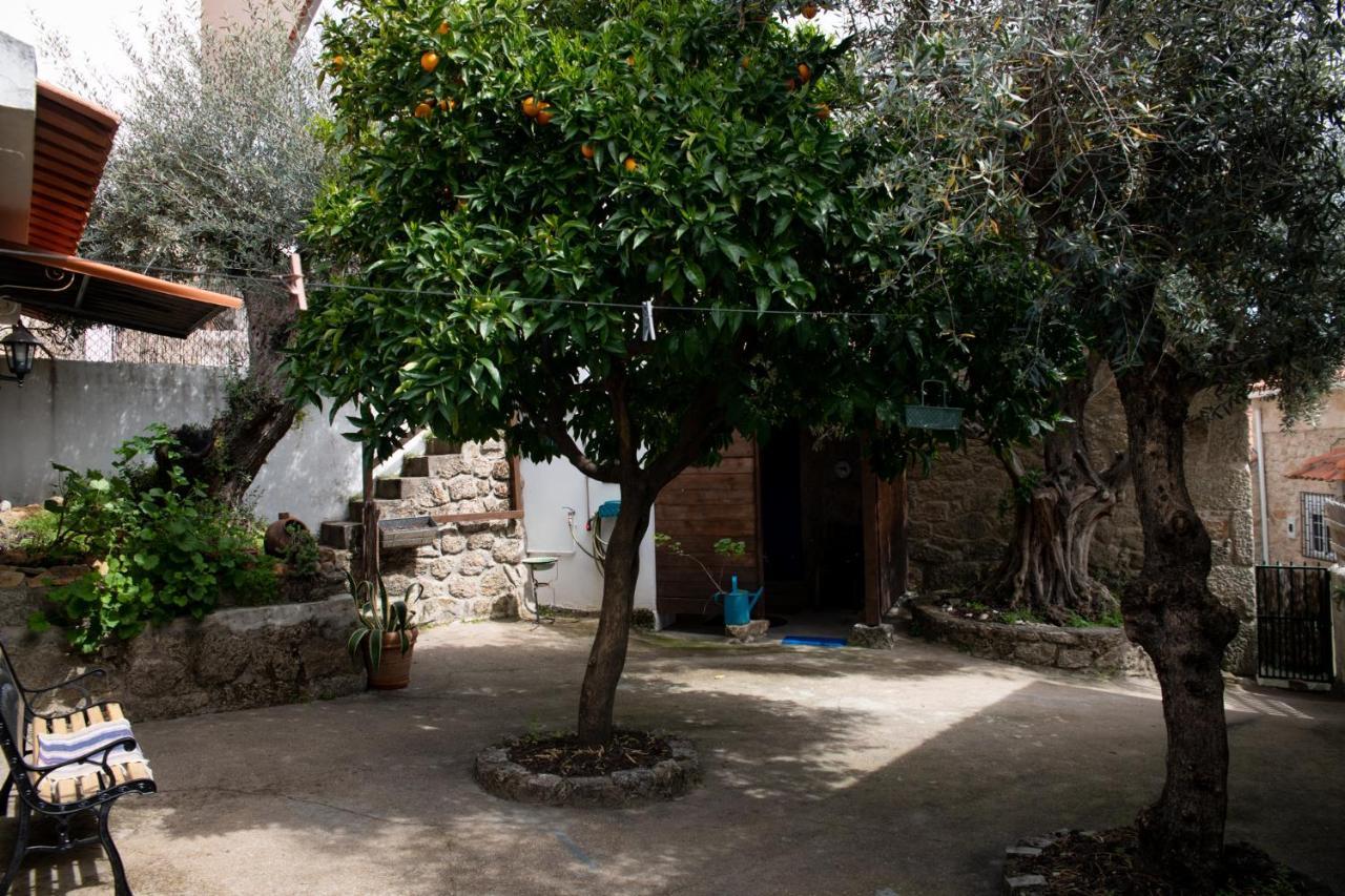 Vila Casa Do Guardado Monsanto Exteriér fotografie