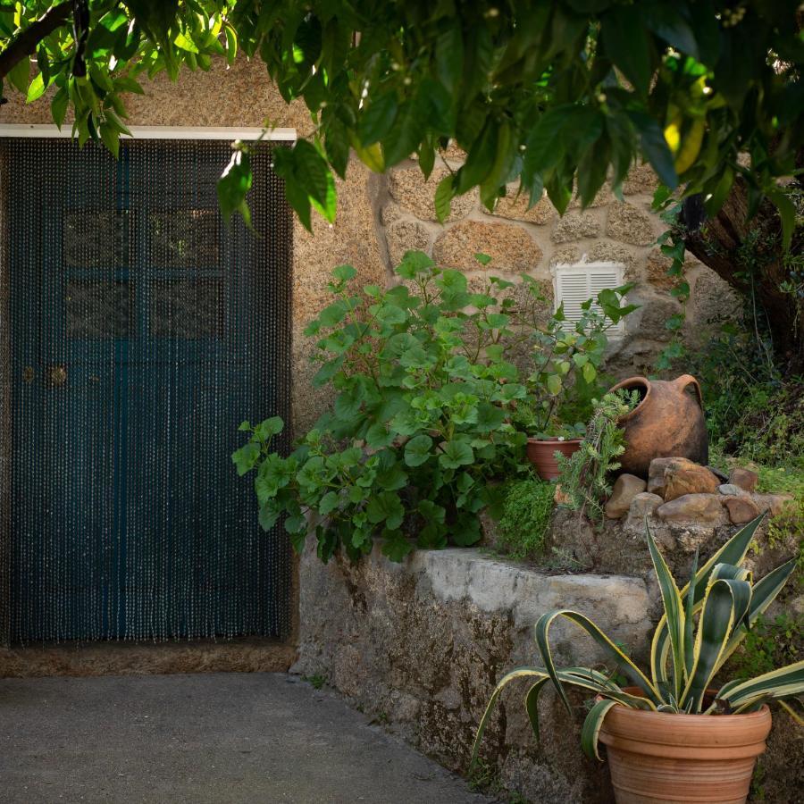 Vila Casa Do Guardado Monsanto Exteriér fotografie